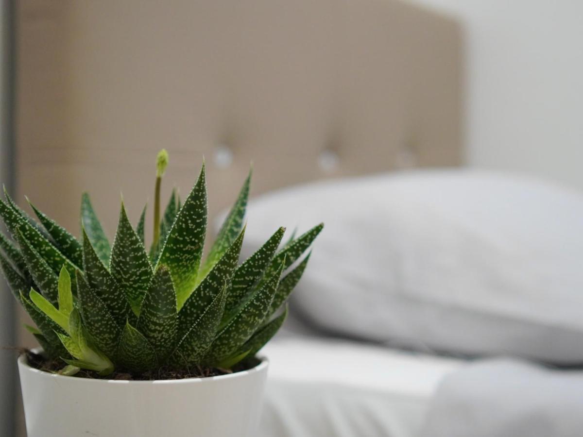 Modern City Centre Two Bedroom Windsor Apartment - Grand Central House Gibraltar Exteriör bild